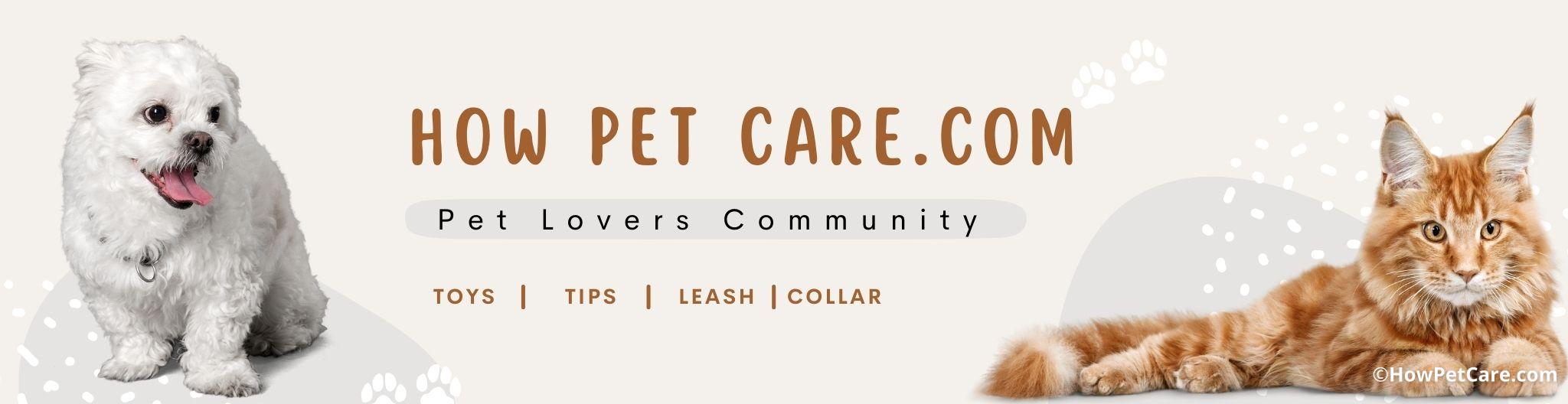 howpetcare.com